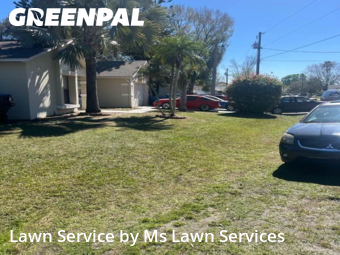 Grass Cut nearby Kissimmee , FL, 