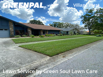 Grass Cut nearby Tampa, FL, 