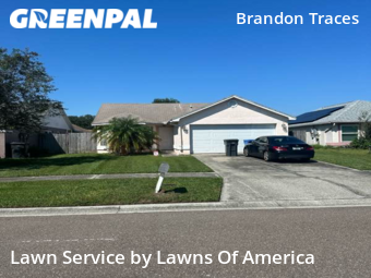 Lawn Maintenance nearby Brandon, FL, 