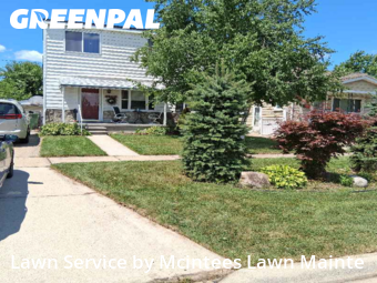 Landscaping Maintenance in Southgate, 48195, Grass Care by Mcintees Lawn Mainte, work completed in Nov , 2025