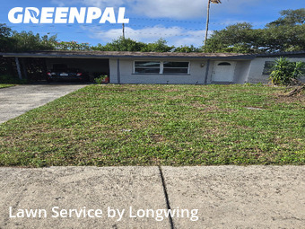 Lawn Maintenance nearby Seminole, FL, 