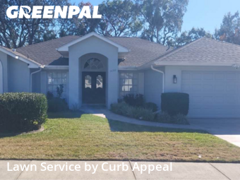 Lawn mowed in Spring Hill, 34608