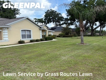 Grass Cut nearby Belleview, FL, 