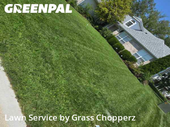Lawn Cut nearby O'fallon, MO, 