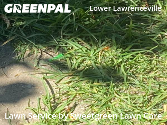 Lawn Service nearby Pittsburgh, PA, 