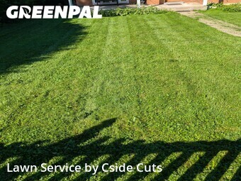 Lawn Mowing Service nearby Monroeville, PA, 