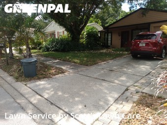 Lawn Mow nearby Palm Harbor, FL, 
