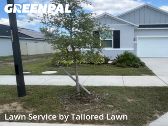 Grass Cut nearby Davenport, FL, 