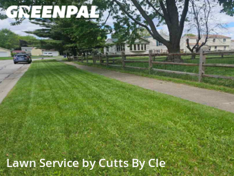 Lawn Maintenance nearby Maumee, OH, 