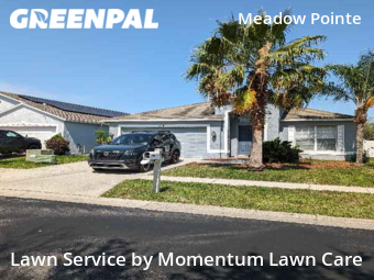 Lawn Mowing Service nearby Wesley Chapel, FL, 