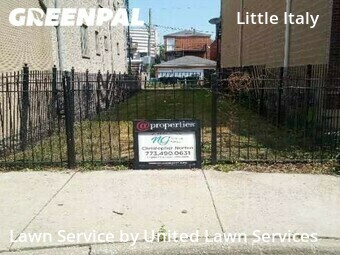 Lawn Cutting nearby Chicago, IL, 