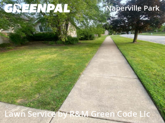 Grass Cut nearby Naperville, IL, 