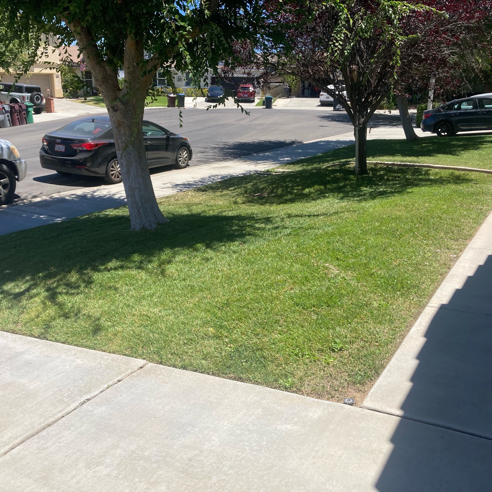 Lawn mowing work by Hugo Lopez Ldscp in Oceanside, CA