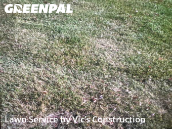 Yard Cutting nearby Crest Hill, IL, 