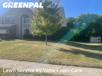 Grass Cut nearby Dayton, OH, 