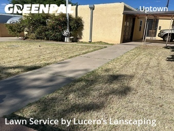 Lawn Cut nearby Albuquerque, NM, 