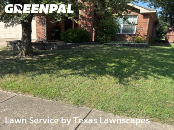 Lawn Carein Wylie,75098,Grass Cutting by Texas Lawnscapes, work completed in Nov , 2025