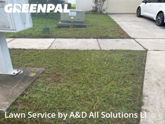 Lawn Cut nearby Kissimmee, FL, 