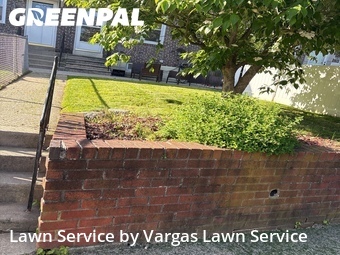 Grass Cut nearby Upper Darby Township, PA, 