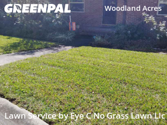 Lawn Mowing Servicein Jacksonville,32211,Grass Cutting by Eye C No Grass Lawn Llc, work completed in Feb , 2026