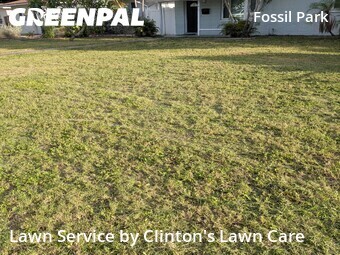 Lawn Care nearby Saint Petersburg, FL, 