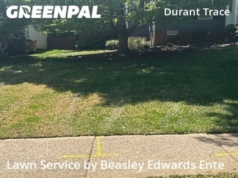Yard Cutting nearby Raleigh, NC, 