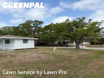 Grass Cut nearby Sarasota, FL, 