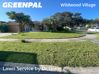 Grass Cut nearby Tampa, FL, 