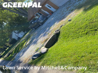 Lawn Services in Livonia, 48154, Weekly Mowing by Mitchell&Company, work completed in Nov , 2025