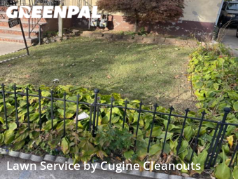 Lawn Cut nearby Rahway, NJ, 