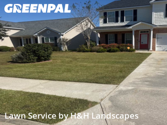 Grass Care in Pooler, 31322, Yard Care Services by H&H Landscapes, work completed in Nov , 2025