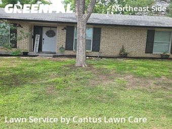 Lawn Mowing Service nearby San Antonio, TX, 