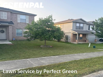 Lawn Maintenance nearby Cibolo, TX, 