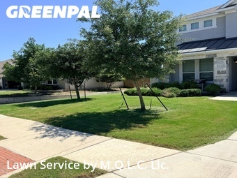 Grass Cutting nearby New Braunfels, TX, 