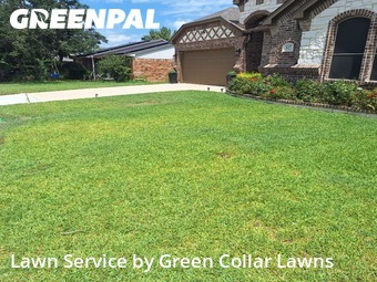 Lawn Cutin Mansfield,76063,Lawn Mowing by Green Collar Lawns, work completed in Nov , 2025
