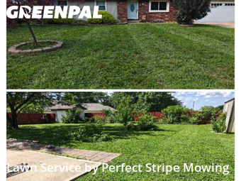 Yard Mowing nearby Springfield, MO, 
