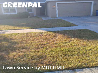 Lawn Cut nearby Clearwater, FL, 