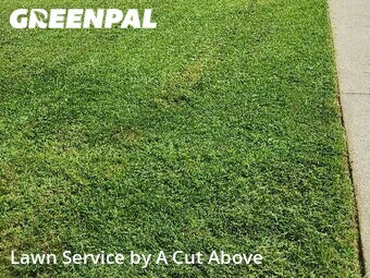 Lawn Mowing nearby Hendersonville, TN, 