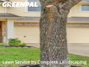 Lawn Mow nearby League City, TX, 