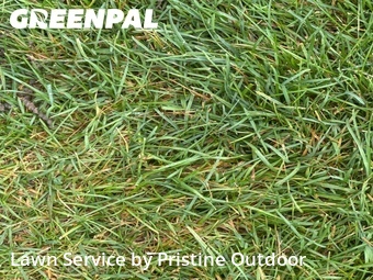 Lawn Mowing nearby Troy, MI, 