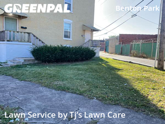 Lawn Cutting nearby St. Louis, MO, 