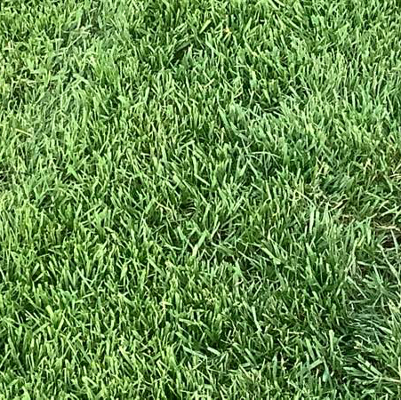 Yard mowing company in San Antonio, TX, 78214