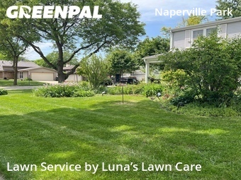 Lawn Carein Naperville,60540,Lawn Cut by Luna’s Lawn Care , work completed in Jun , 2026