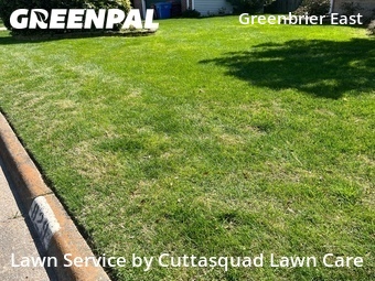 Lawn Cutting nearby Chesapeake, VA, 
