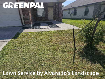 Lawn Mowingin Atascocita,77346,Yard Mowing by Alvarado's Landscape, work completed in Dec , 2025