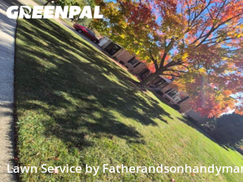 Lawn Care Servicein Palatine,60067,Lawn Cut by Fatherandsonhandyman, work completed in Jan , 2026