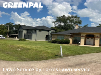 Grass Cutting nearby Conroe, TX, 