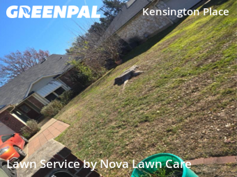 Lawn mowed in Round Rock, 78664