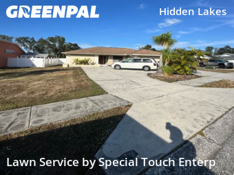 Lawn Cuttingin Palm Harbor,34683,Lawn Maintenance by Special Touch Enterp, work completed in Dec , 2025