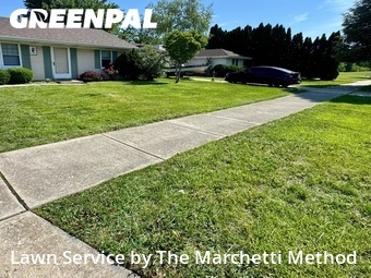 Yard Cutting nearby Aurora, IL, 